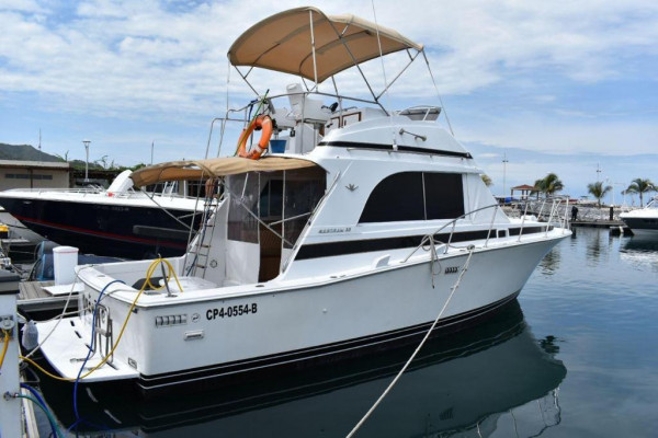 Yate Gazelle | Yate en santa marta