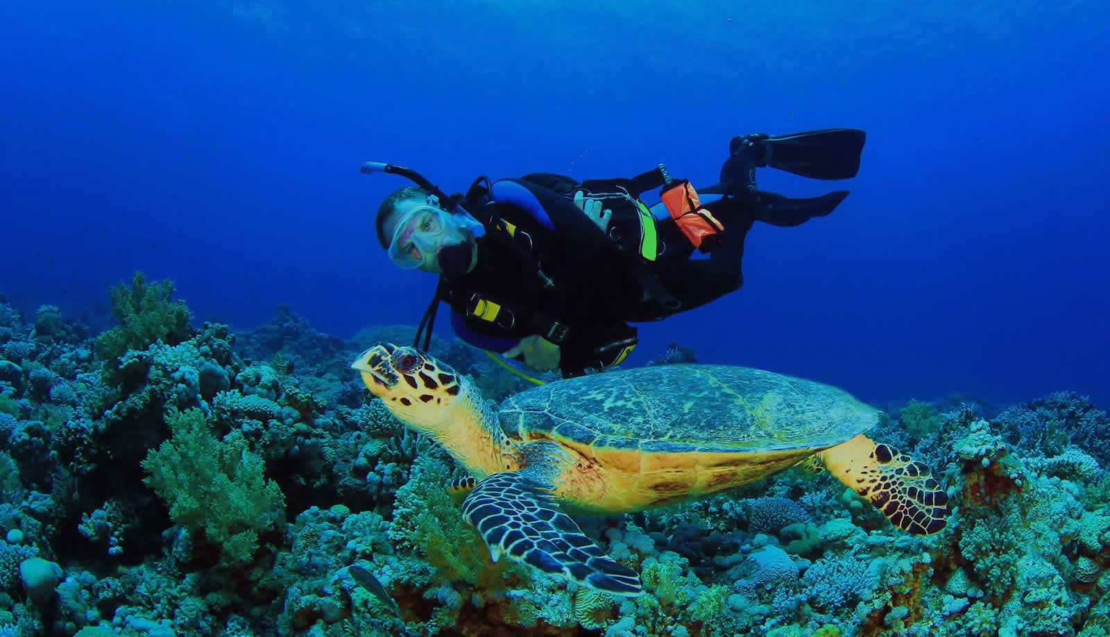 Buceo en Cartagena