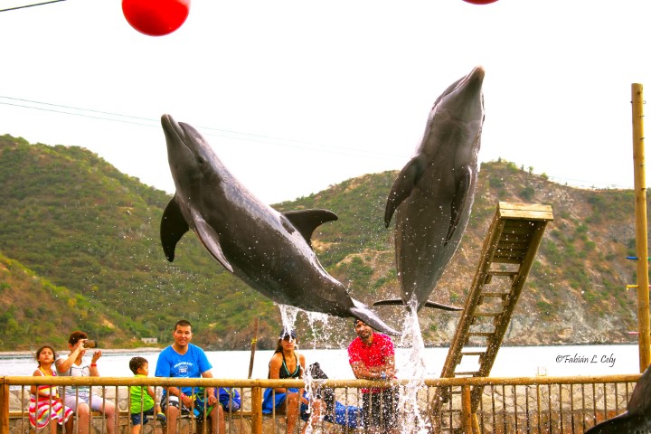 Acuario Playa Blanca in Santa Marta