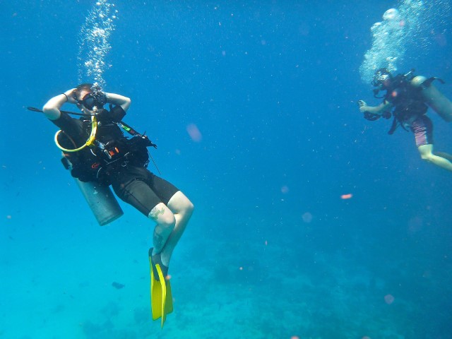 Instructor Assistant Dive Course in San Andrés