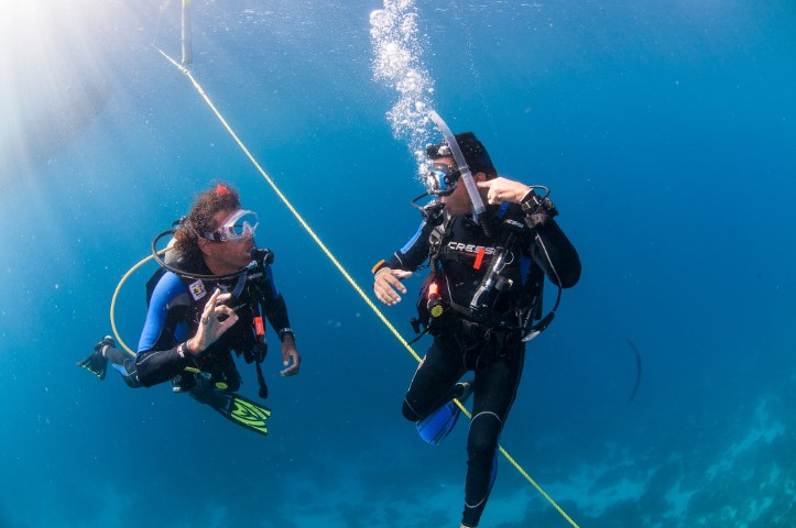 Diving Padi Divemaster Course in San Andrés