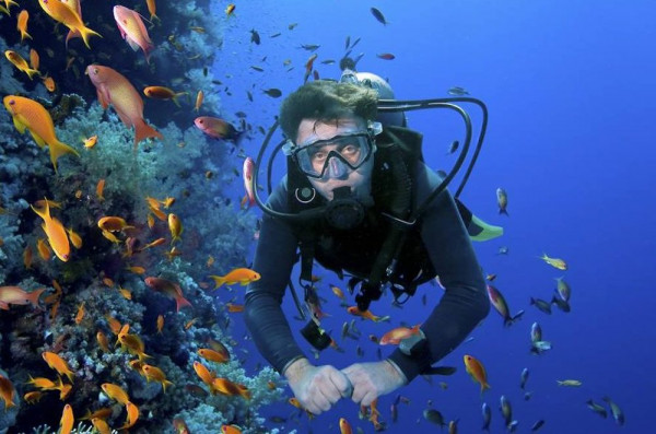 Curso de Certificación Divemaster