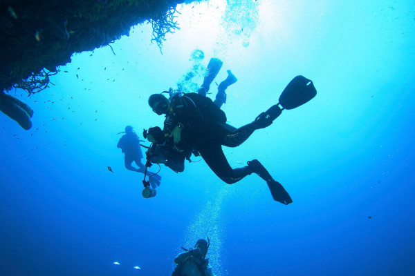 Adventure Diver | Tour en Cartagena
