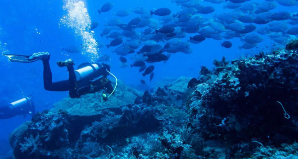 Buceo especialidad en corrientes