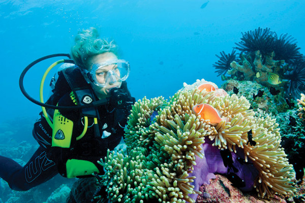 Buceo especialidad de coral