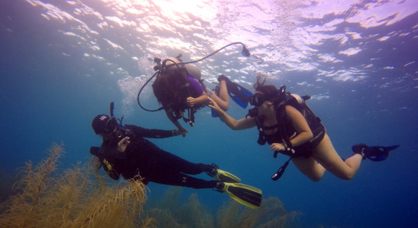 Discover Scuba Diving.
