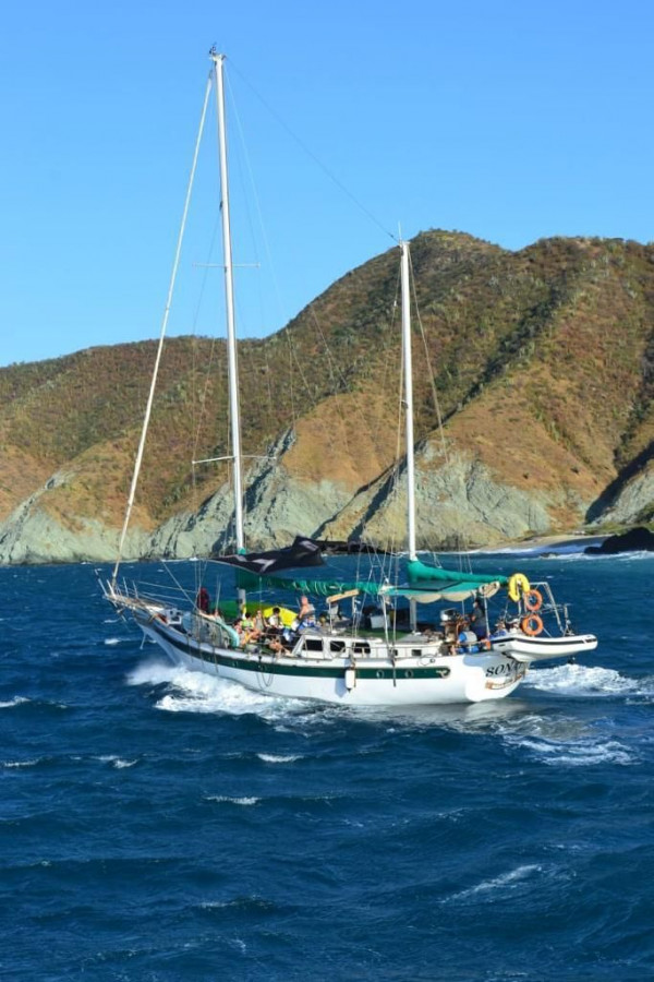 Velero Sonata  | Velero en santa marta