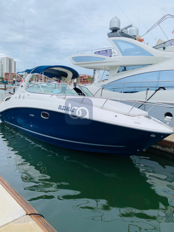 Yate  Cachorro | Yate en puerto vallarta