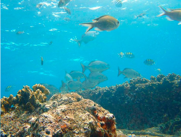 Aventura de Buceo en Naufragio en la Isla Barú.